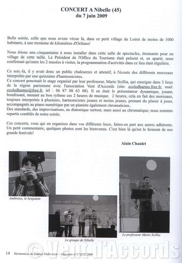 concert des cours d'harmonica